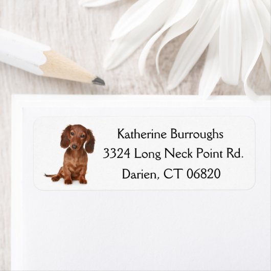 Étiquette Chien chiot Brown Dachshund Personnalisé (En situation)