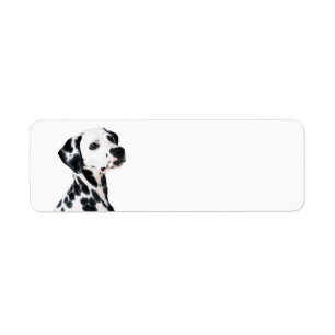 Étiquette Chien dalmate mignon