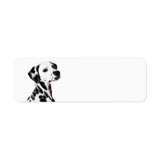 Étiquette Chien dalmate mignon (Devant)