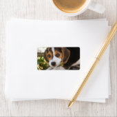 Étiquette Chien de bébé beagle (En situation)