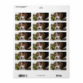 Étiquette Chien de bébé beagle (Feuille entière)