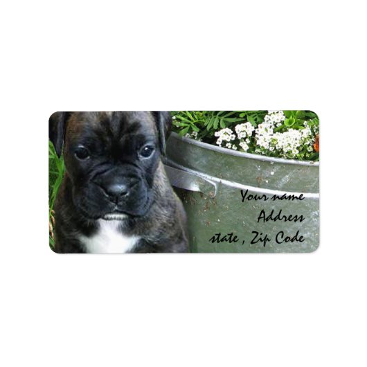 Étiquette Chien de boîte (Devant)