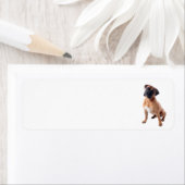 Étiquette Chien de boîte 2 (En situation)