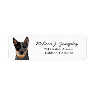 Étiquette Chien de bovins Blue Heeler Chien