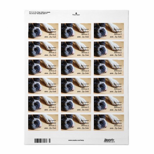 Étiquette Chien de boxe (Feuille entière)