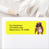 Étiquette Chien de boxe (En situation)