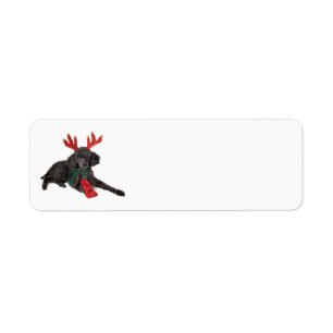 Étiquette Chien de caniche noir de jouet de Noël habillé