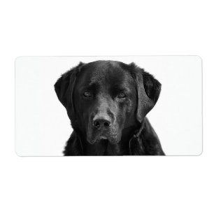 Étiquette Chien de chiot noir du Labrador