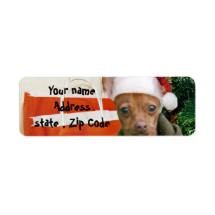 Étiquette Chien de chiwawa de Noël