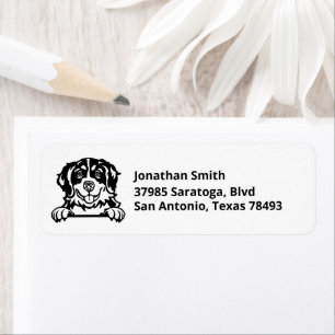 Étiquette CHIEN DE MONTAGNE DE BERNE   Image de l'adresse de