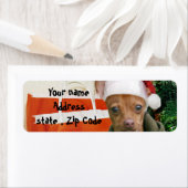 Étiquette Chien de Noël chihuahua (En situation)