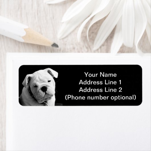 Étiquette Chien de taureau (En situation)