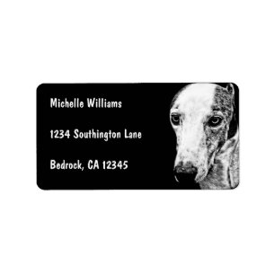 Étiquette Chien de whippet