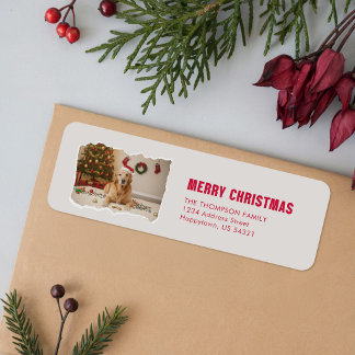 Étiquette Chien Golden Retriever Chapeau de Père Noël Photo