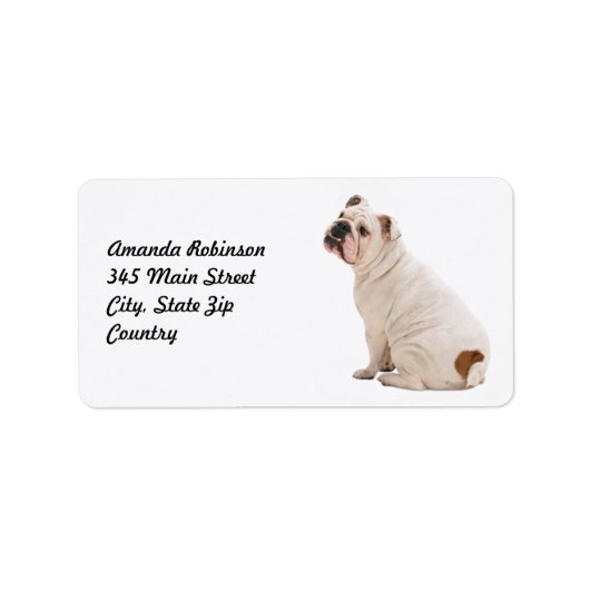 Étiquette Chien mignon blanc taureau (Devant)