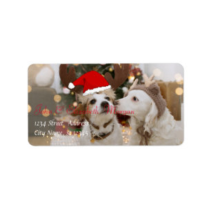 Étiquette Chiens Adorables Avec Chapeau De Père Noël