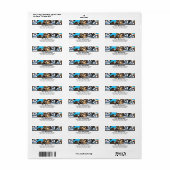 Étiquette Chiens mignons Chih Tzu Pack Couleur personnalisée (Feuille entière)