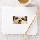 Étiquette Chih Tzu (En situation)