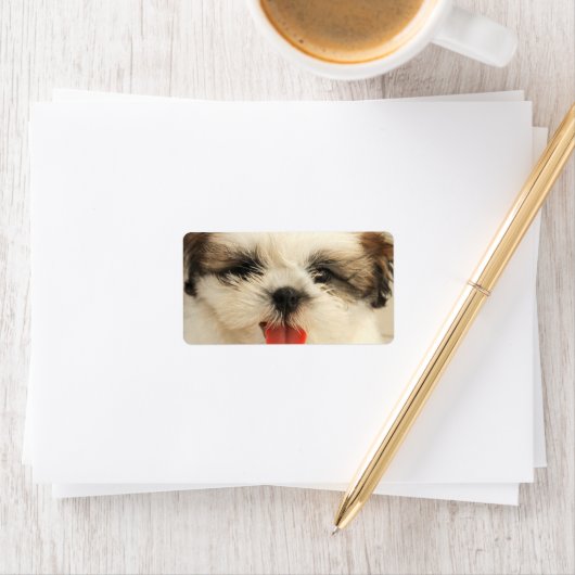 Étiquette Chih Tzu (En situation)