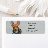 Étiquette Chihuahua (En situation)