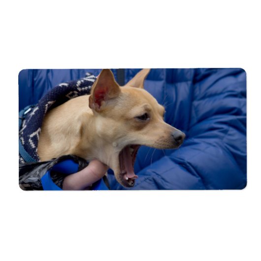 Étiquette Chihuahua hurle (Devant)