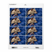 Étiquette Chihuahua hurle (Feuille entière)