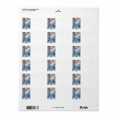 Étiquette Childe Hassam - drapeaux Cinquième Avenue (Feuille entière)