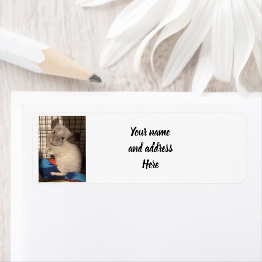 Étiquette chinchilla (En situation)