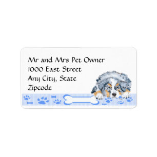 Étiquette Chiot australien bleu de Merle sur le guingan bleu