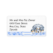 Chiot bleu Merle Aussie sur En vichy bleu