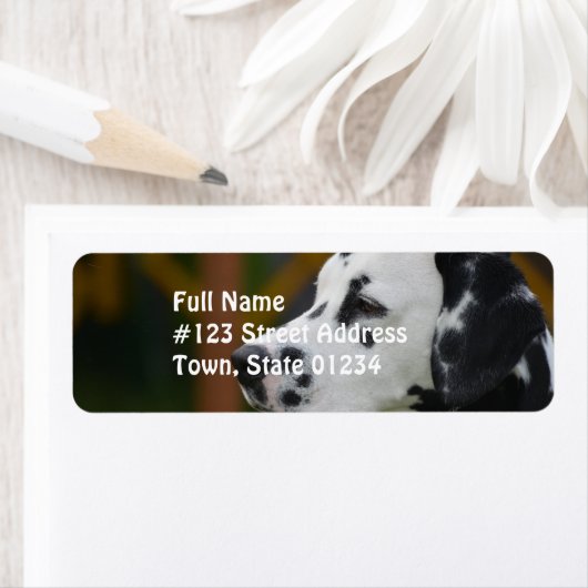 Étiquette Chiot dalmate mignon (En situation)