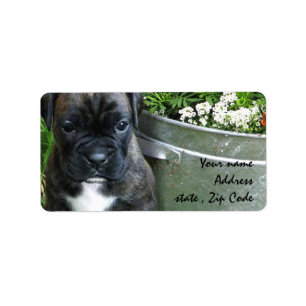 Étiquette Chiot de boxeur