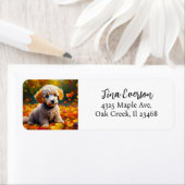 Étiquette Chiot de canicule d'abricot dans les feuilles d'au (En situation)