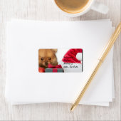 Étiquette Chiot de Noël Poméranien (En situation)