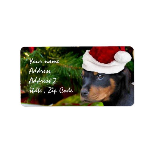Étiquette Chiot de Noël Rottweiler (Devant)