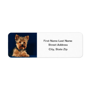 Étiquette Chiot de Yorkshire Terrier