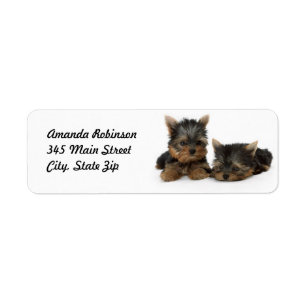 Étiquette Chiots du Yorkshire Terrier