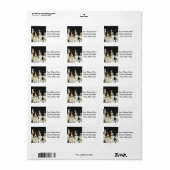 Étiquette Chiots espagnols Springer anglais (2) (Feuille entière)