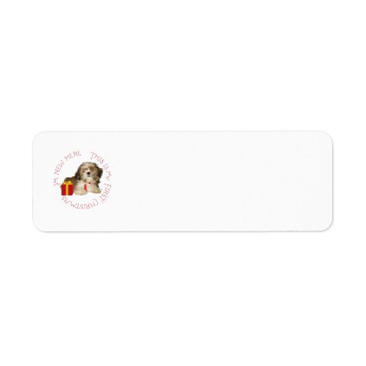 Étiquette Chiots Shih Tzu Premier Noël (Devant)