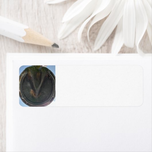 Étiquette Chou à cheval (En situation)