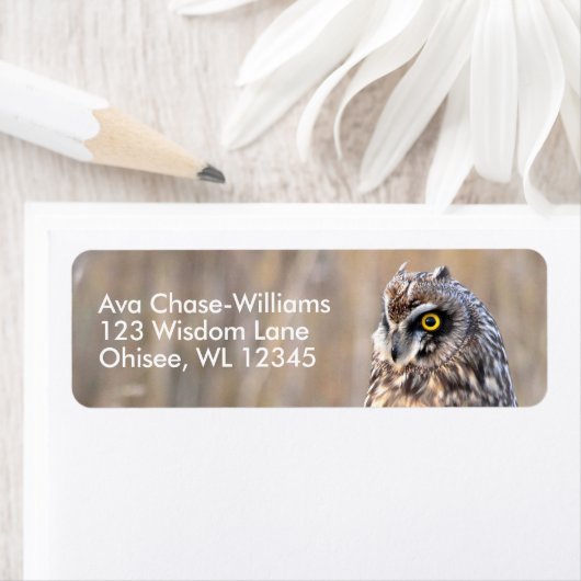 Étiquette Chouette à courte portée dans les marais (En situation)