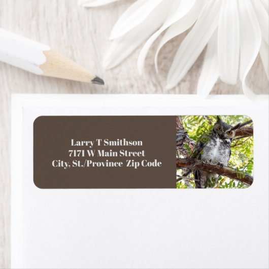 Étiquette Chouette curieuse sur la branche (En situation)