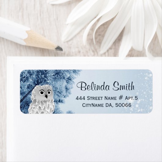 Étiquette Chouette d'hiver mignonne Bleu blanc (En situation)
