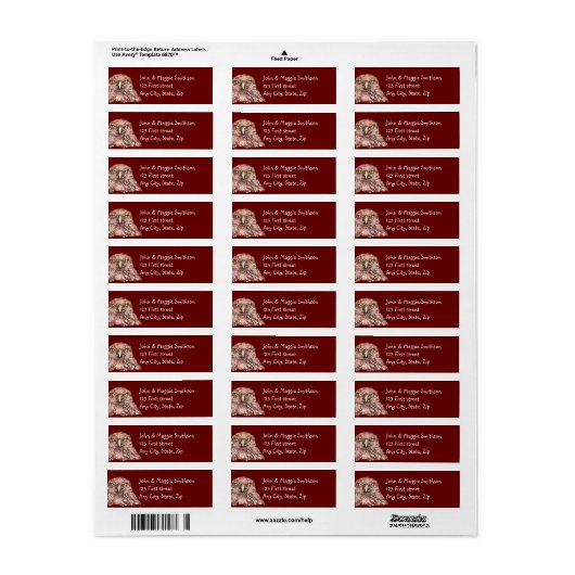Étiquette Chouette Grumpy Burrowing Oiseau Nature Custom Art (Feuille entière)