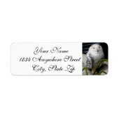 Étiquette Chouette moelleuse (Devant)