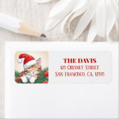 Étiquette Christmas Dreams - Sleeping Kitten in Santa Hat (En situation)