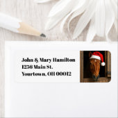 Étiquette Christmas Horse In Stable Window (En situation)