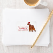Étiquette Christmas Irish Setter (En situation)