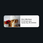 Étiquette Christmas Kitty à Santa Hat Retourner l'adresse Ét<br><div class="desc">Célébrez les fêtes en utilisant ces étiquettes d'adresse de retour "Christmas Kitty",  avec et chat orange et blanc portant un chapeau de Père Noël. Photo du designer.</div>