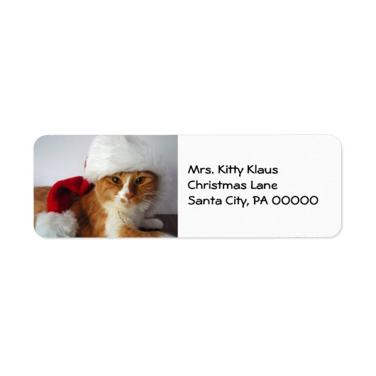 Étiquette Christmas Kitty à Santa Hat Retourner l'adresse Ét (Devant)